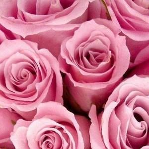 Meet your Posher, Raena